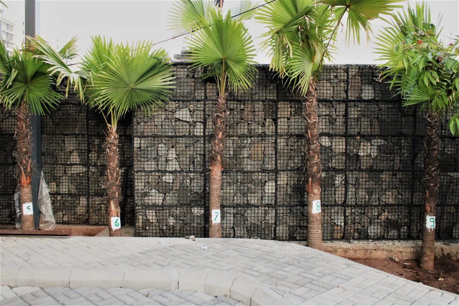 Welded Mesh Gabions